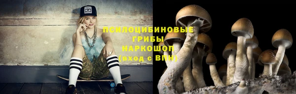 прущие крисы Новокубанск