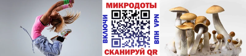 Купить Ессентукская Псилоцибиновые грибы Magic Shrooms